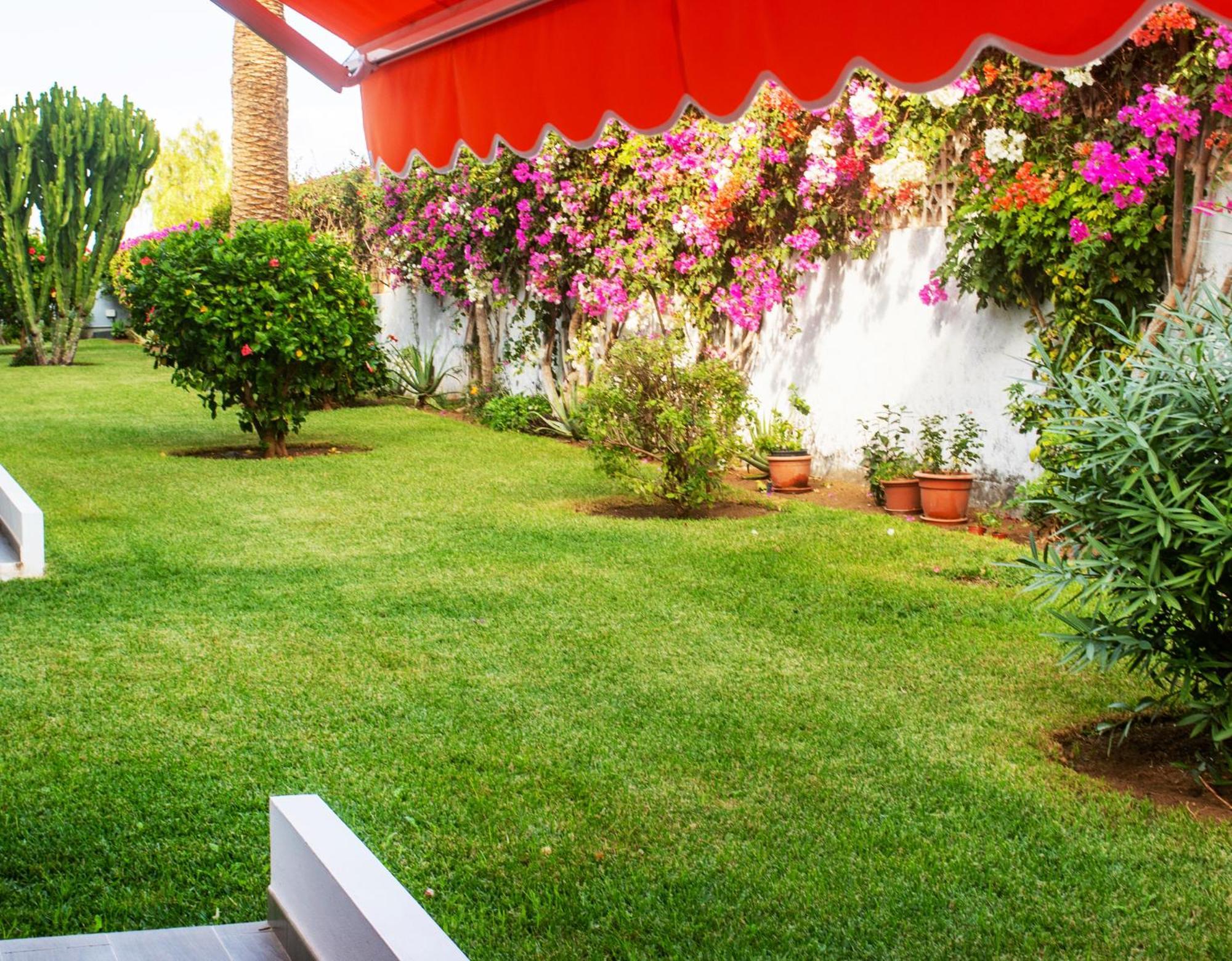 Casa Tranquila Leilighet Puerto de la Cruz  Eksteriør bilde